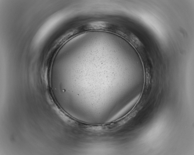 X0000111841054200908061250