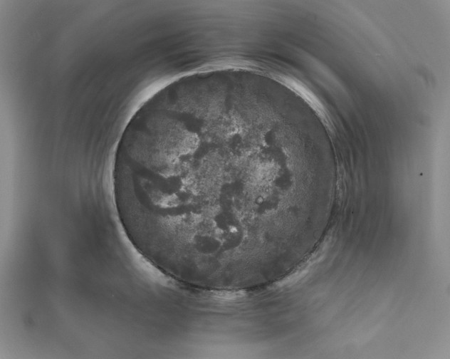 X0000111841055200908061250