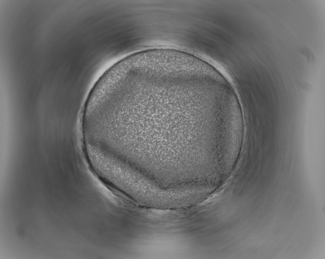 X0000111841056200908061250