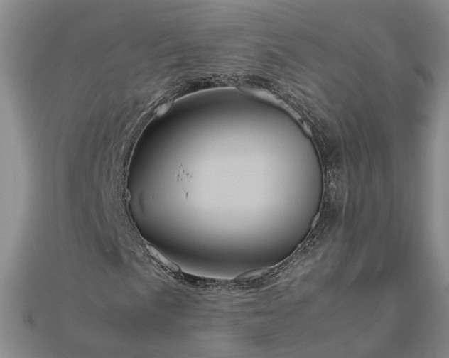 X0000111841057200908061249