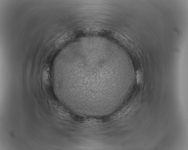 X0000111841059200908061249