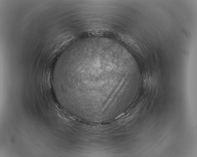 X0000111841060200908061249