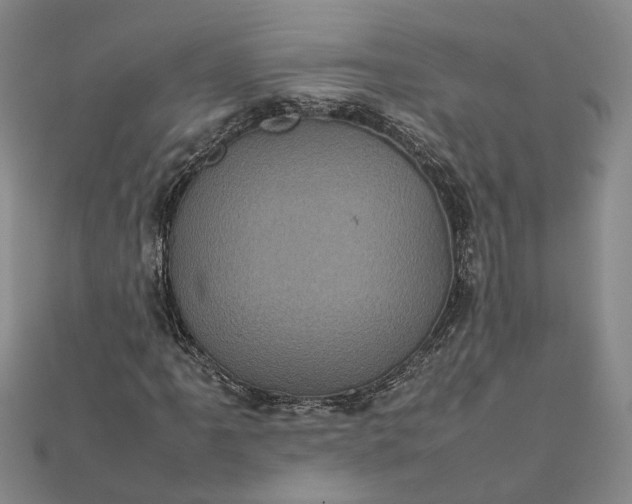 X0000111841061200908061249