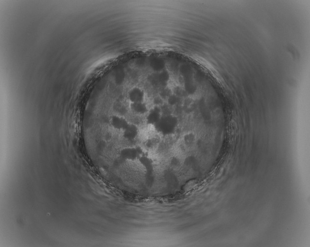 X0000111841063200908061249