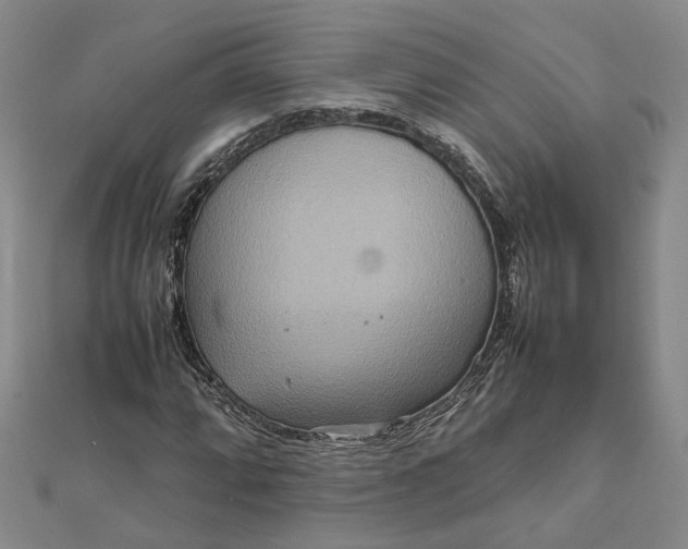 X0000111841064200908061249