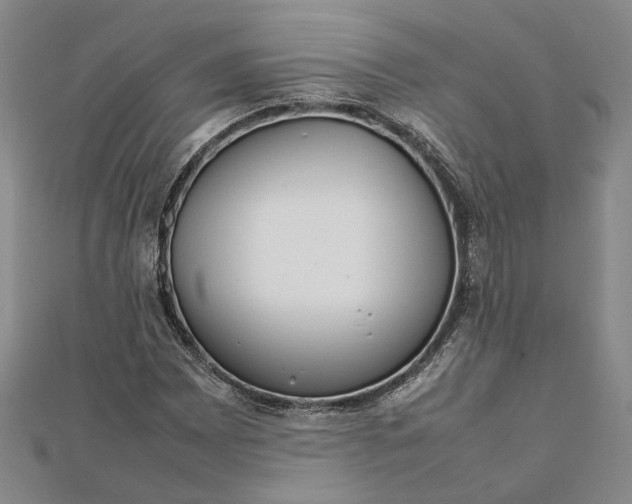 X0000111841065200908061249