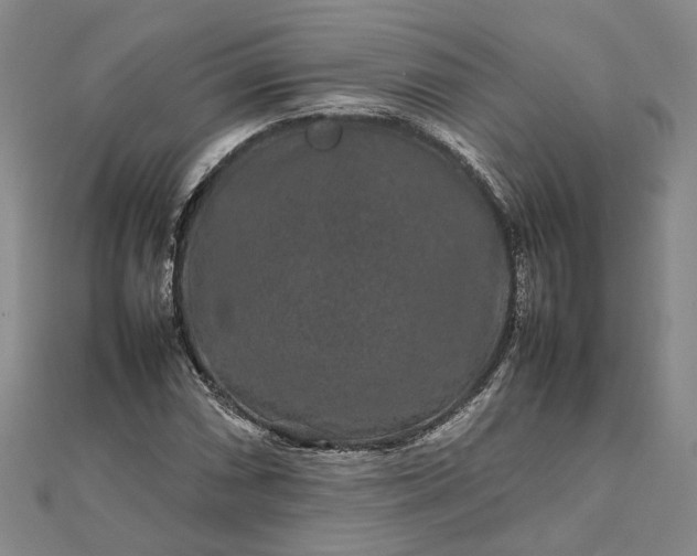 X0000111841066200908061249