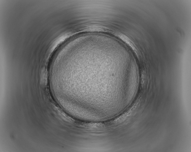 X0000111841067200908061249