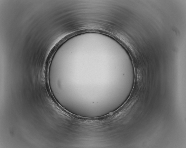 X0000111841068200908061249