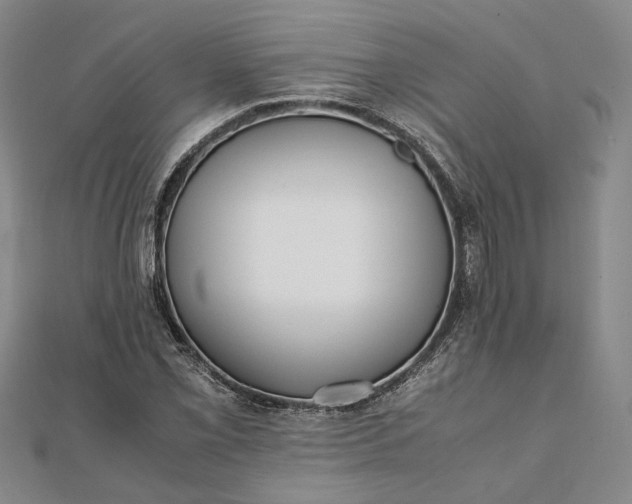 X0000111841069200908061249