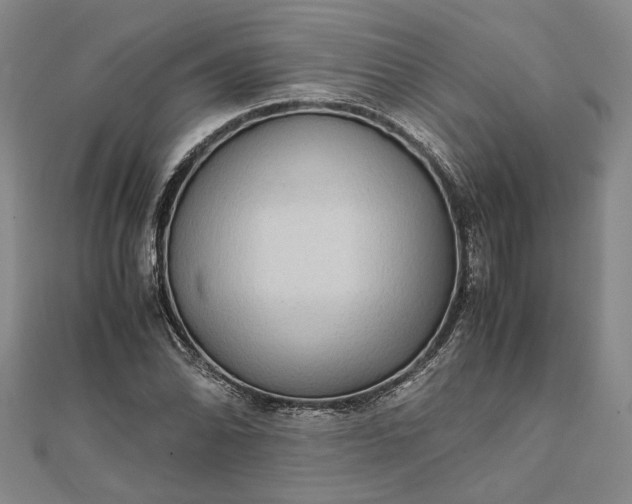 X0000111841070200908061249