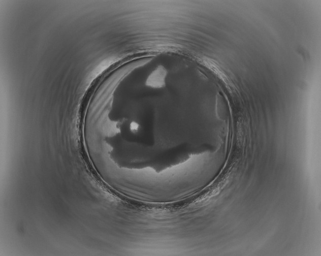 X0000111841071200908061249