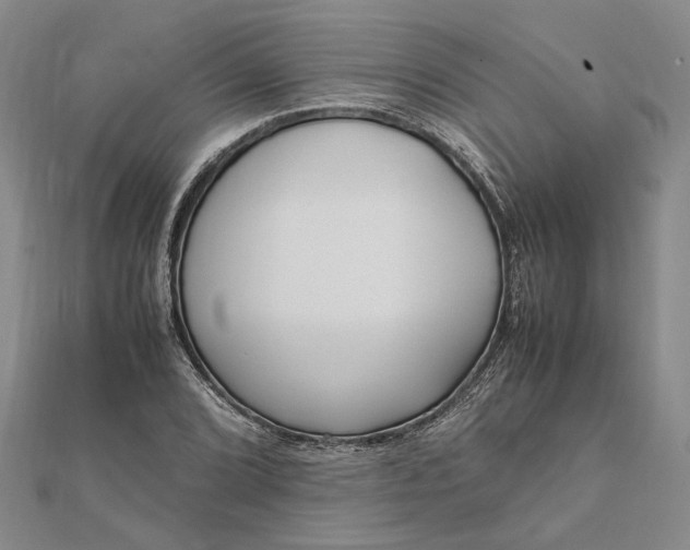 X0000111841072200908061249