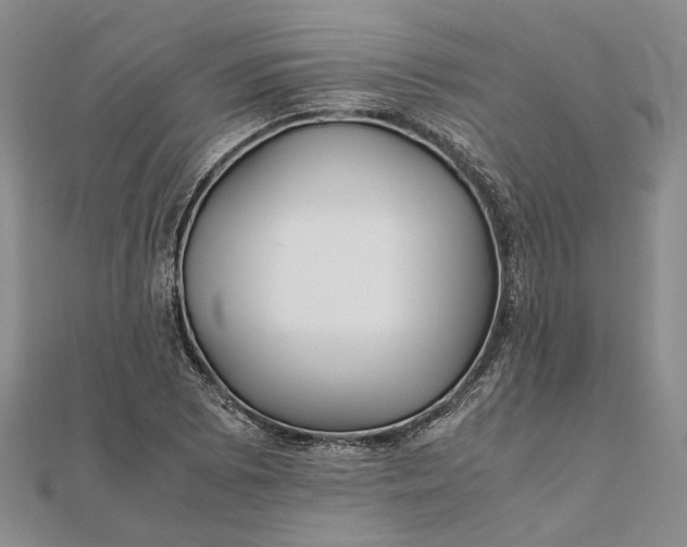 X0000111841073200908061249