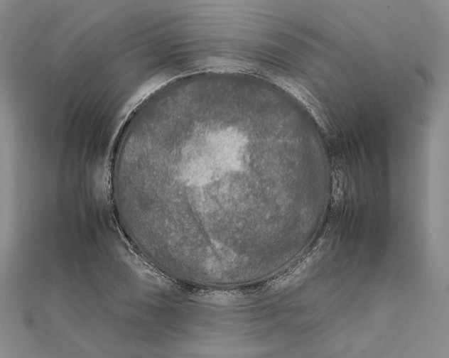 X0000111841074200908061249