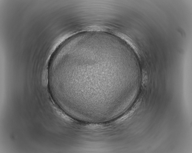 X0000111841075200908061249