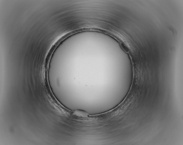 X0000111841076200908061249