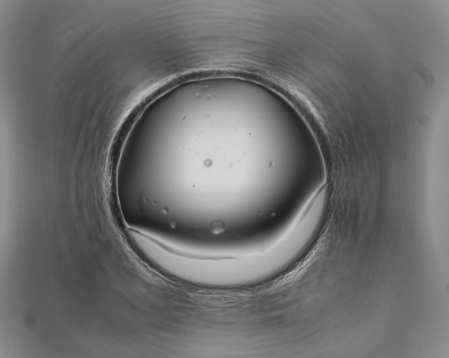 X0000111841077200908061249