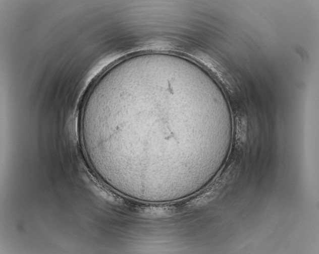 X0000111841078200908061249