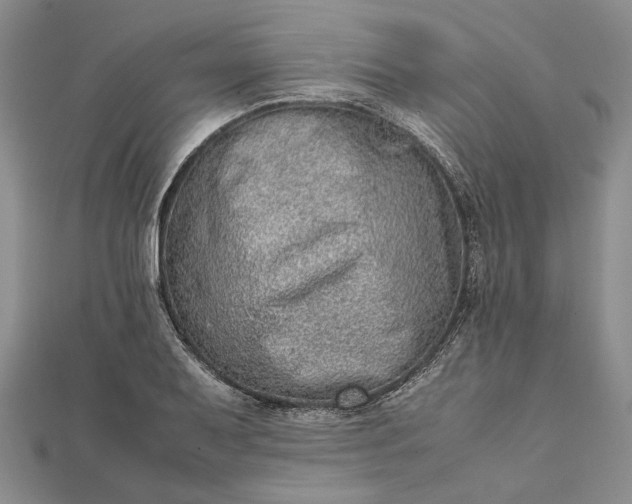 X0000111841079200908061249