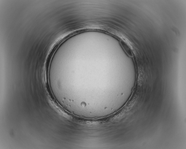 X0000111841080200908061249