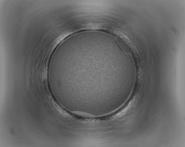 X0000111841081200908061249