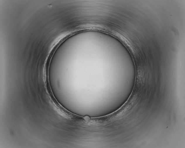 X0000111841082200908061249