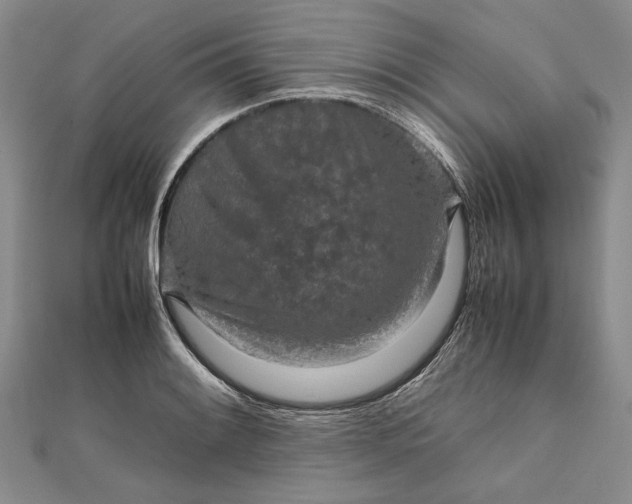 X0000111841084200908061249