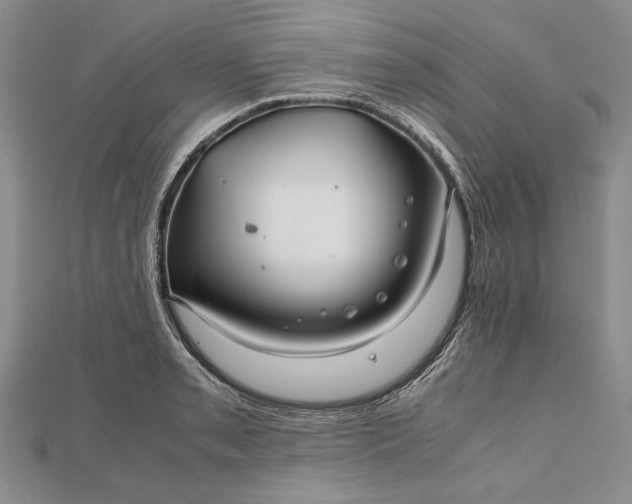 X0000111841085200908061249