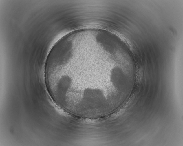 X0000111841086200908061249