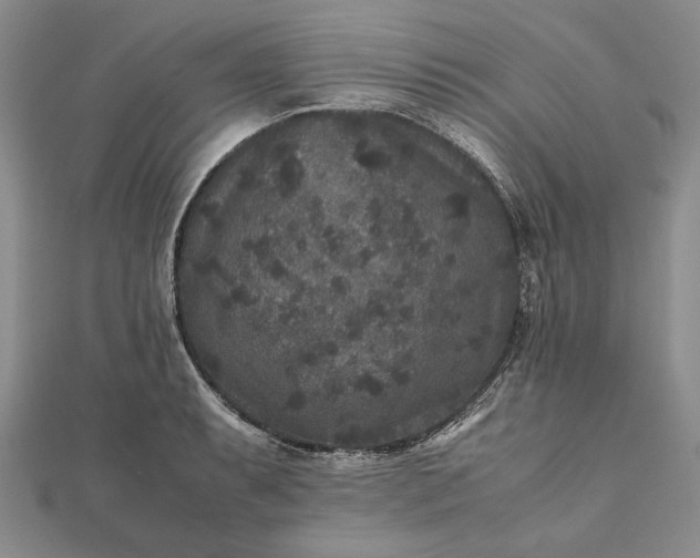 X0000111841087200908061249