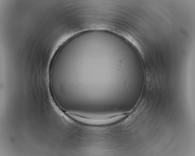 X0000111841088200908061249