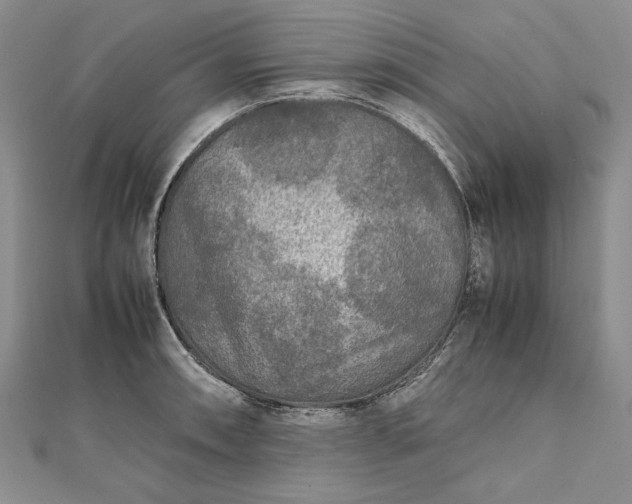 X0000111841090200908061249