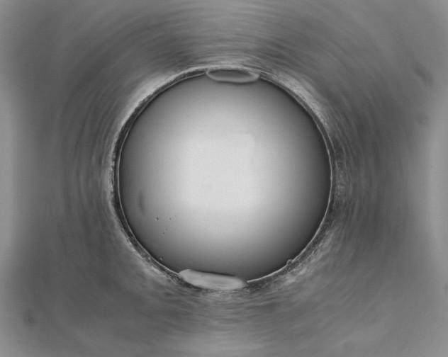 X0000111841093200908061249