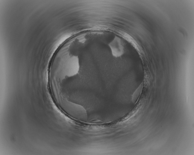 X0000111841095200908061249