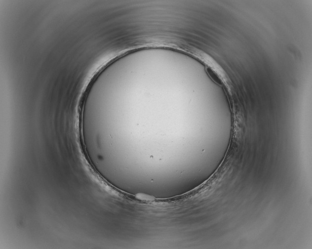 X0000111841096200908061248