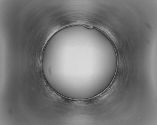 X0000111841097200908061248