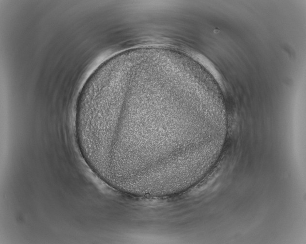 X0000111841099200908061248