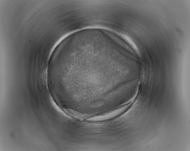 X0000111841100200908061248