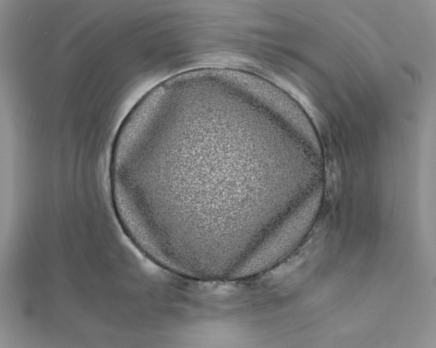 X0000111841103200908061248