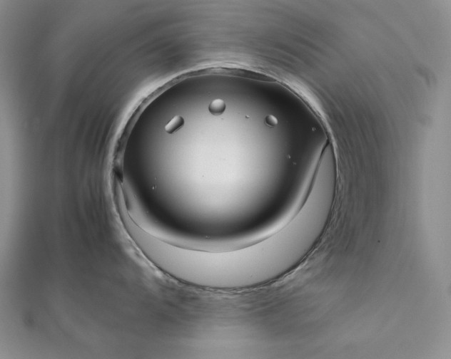 X0000111841104200908061248