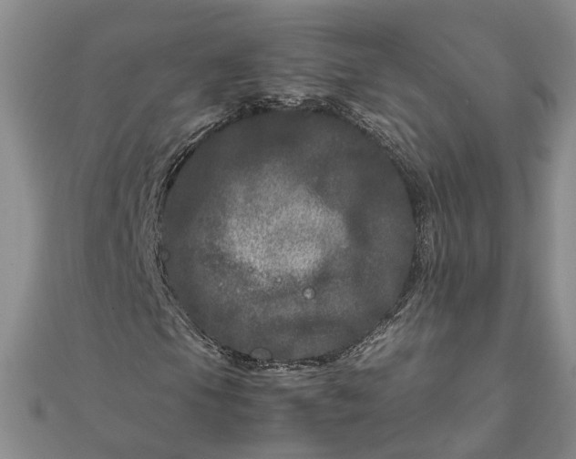 X0000111841105200908061248