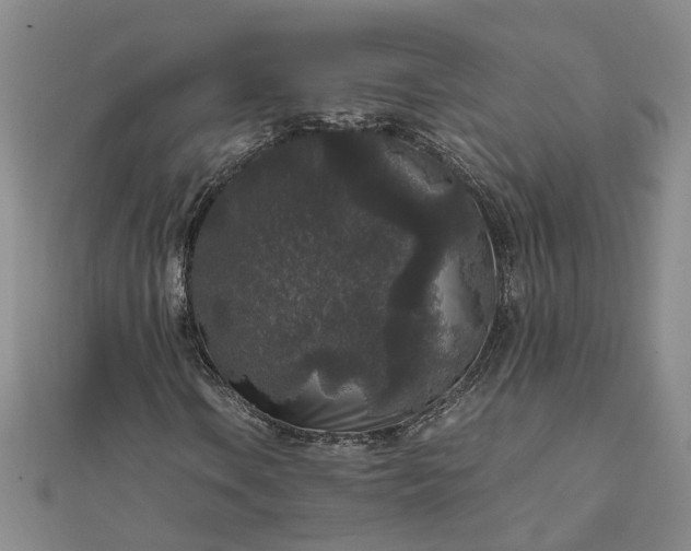 X0000111841106200908061248