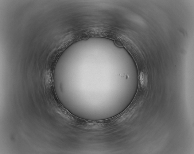 X0000111841107200908061248