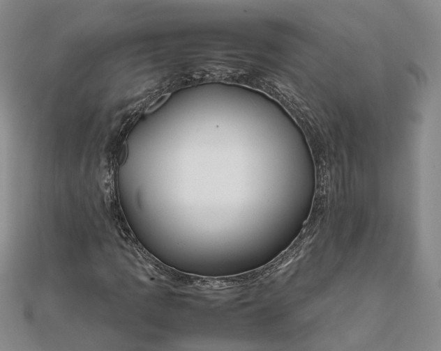 X0000111841109200908061248