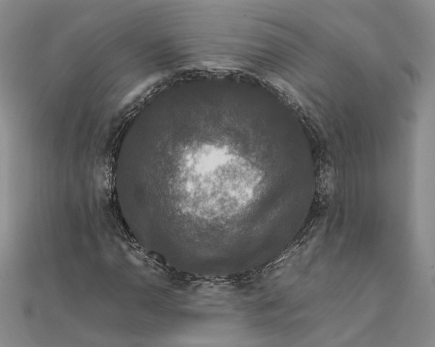 X0000111841110200908061248