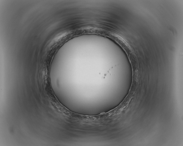 X0000111841111200908061248