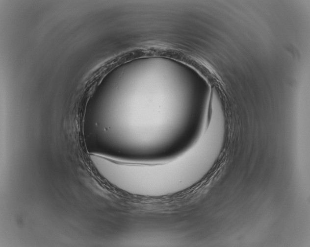 X0000111841112200908061248