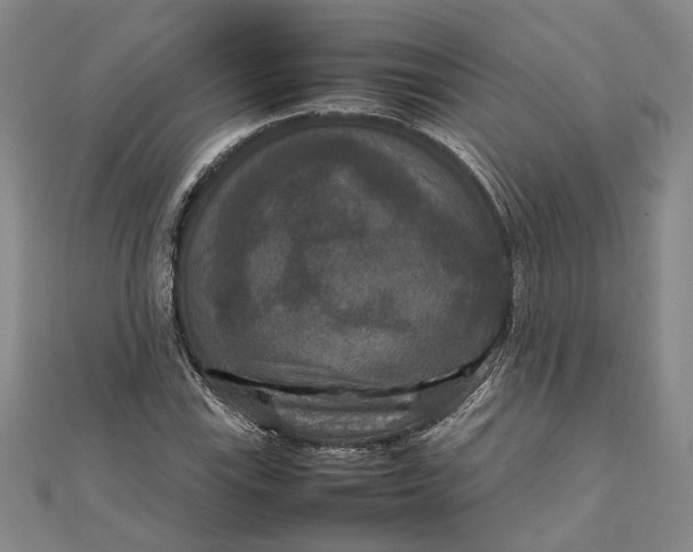 X0000111841115200908061248