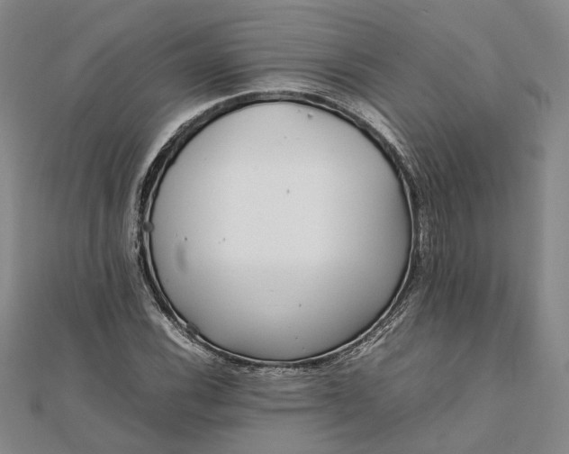 X0000111841116200908061248